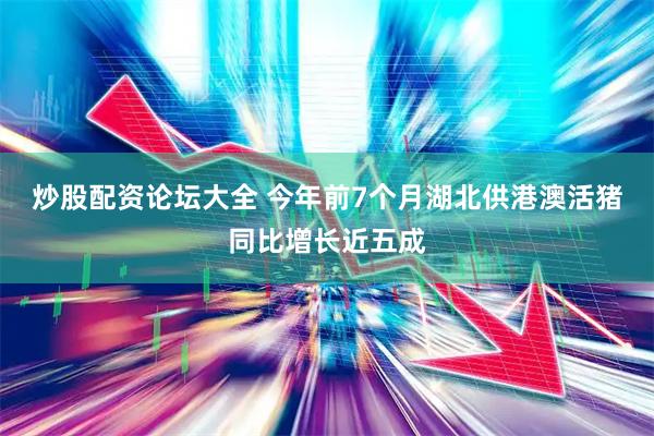 炒股配资论坛大全 今年前7个月湖北供港澳活猪同比增长近五成